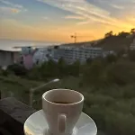 Happy *